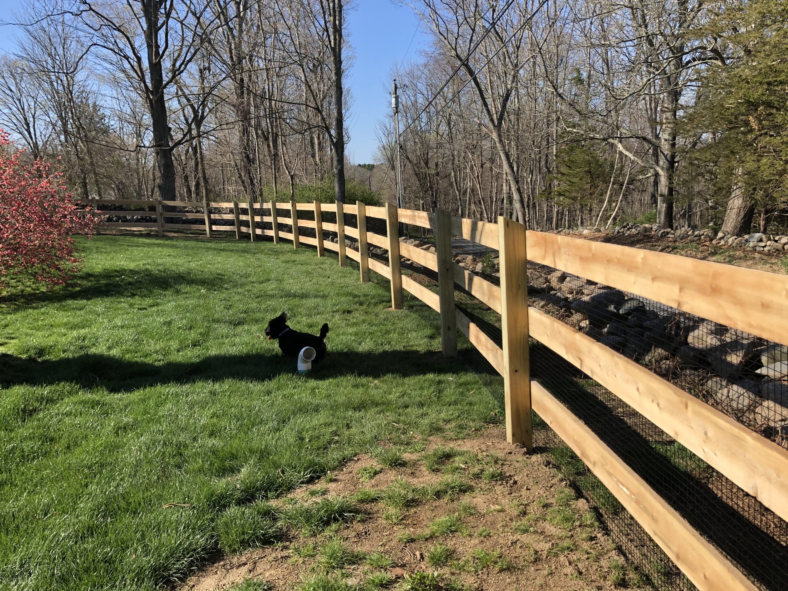 Post & Rail